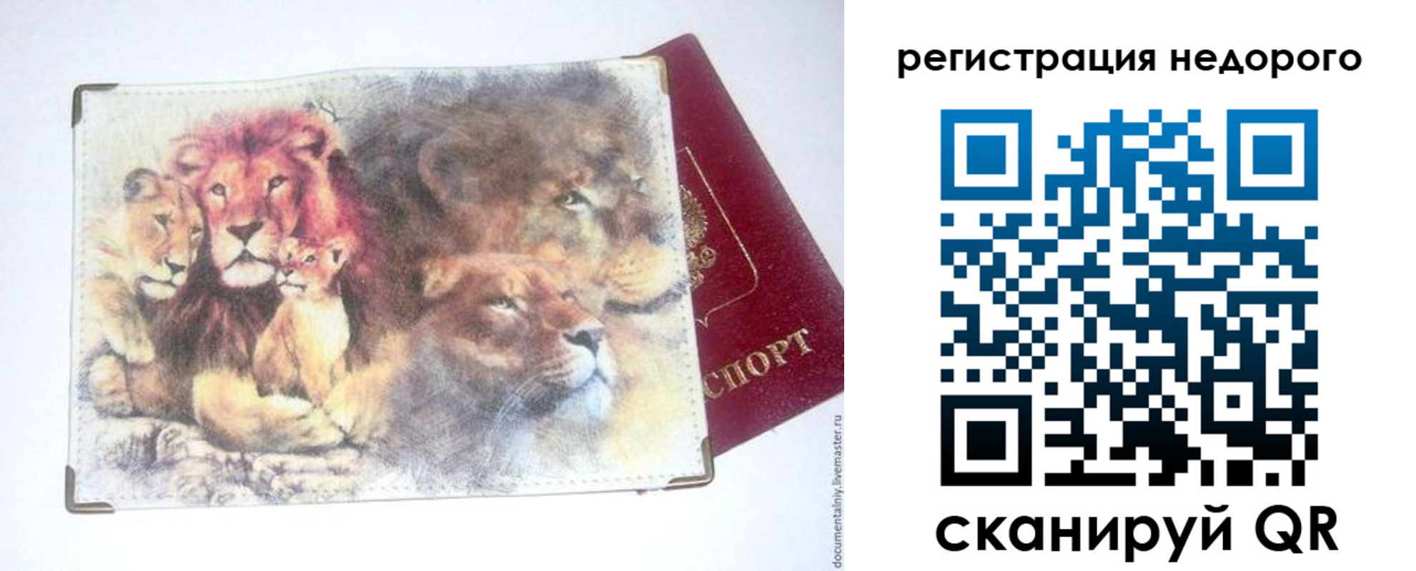регистрация для школы в Петропавловске-Камчатском